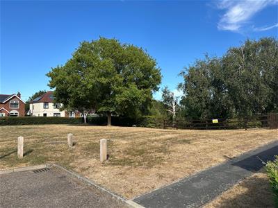 Picture 15